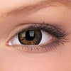 Phantasee BE Charming Brown (2 lenses/pack)-Colored Contacts-UNIQSO EU