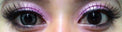 Phantasee BE Lovely Grey (2 lenses/pack)-Colored Contacts-UNIQSO EU