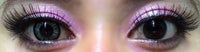 Phantasee BE Lovely Grey (2 lenses/pack)-Colored Contacts-UNIQSO EU