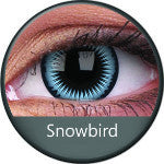 Phantasee Crazy Blue Snowbird (2 lenses/pack)-Crazy Contacts-UNIQSO EU