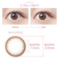 SEED Eye Coffret 1 Day UV M Clear Accent - Base Make-Colored Contacts-UNIQSO EU