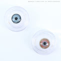 Sweety 3 Tones Honey (1 lens/pack)-Colored Contacts-UNIQSO EU