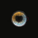 Sweety Anime Shining Heart Blue Brown (1 lens/pack)-Colored Contacts-UNIQSO EU
