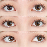 Sweety Bella Brown (1 lens/pack)-Colored Contacts-UNIQSO EU