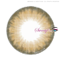 Sweety Bella Yellow Brown (1 lens/pack)-Colored Contacts-UNIQSO EU