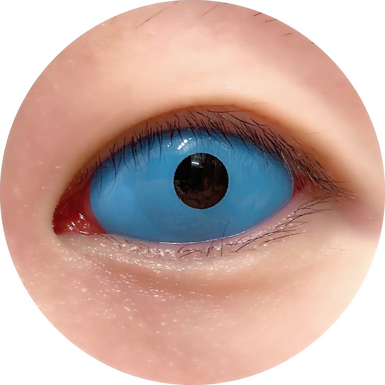 Sweety Blue Sclera Contacts (1 lens/pack)-Sclera Contacts-UNIQSO EU
