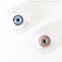 Sweety Butterfly Brown (1 lens/pack)-Colored Contacts-UNIQSO