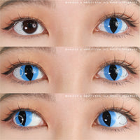 Sweety Crazy Aqua Cat (1 lens/pack)-Crazy Contacts-UNIQSO EU