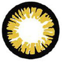 Sweety Crazy BT Yellow (1 lens/pack)-Crazy Contacts-UNIQSO EU