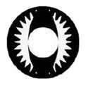 Sweety Crazy Black Dragon (1 lens/pack)-Crazy Contacts-UNIQSO EU