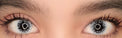 Sweety Crazy Black Parasite (1 lens/pack)-Crazy Contacts-UNIQSO EU