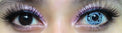 Sweety Crazy Cyborg (1 lens/pack)-Crazy Contacts-UNIQSO EU
