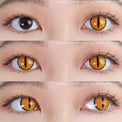 Sweety Crazy Gold Demon Eye / Cat Eye (1 lens/pack)-Crazy Contacts-UNIQSO EU