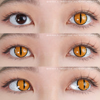 Sweety Crazy Gold Demon Eye / Cat Eye (1 lens/pack)-Crazy Contacts-UNIQSO EU