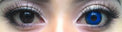 Sweety Crazy Hell Reaper (1 lens/pack)-Crazy Contacts-UNIQSO EU