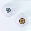 Sweety Crazy Mystic Sun (1 lens/pack)-Crazy Contacts-UNIQSO EU