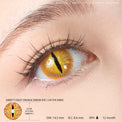Sweety Crazy Orange Demon Eye / Cat Eye (New) (1 lens/pack)-Crazy Contacts-UNIQSO EU