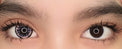 Sweety Crazy Petal Purple (1 lens/pack)-Crazy Contacts-UNIQSO EU