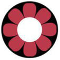 Sweety Crazy Pink Flower (1 lens/pack)-Crazy Contacts-UNIQSO EU