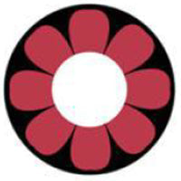 Sweety Crazy Pink Flower (1 lens/pack)-Crazy Contacts-UNIQSO EU