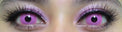 Sweety Crazy Posy Pink (1 lens/pack)-Crazy Contacts-UNIQSO EU