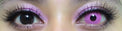 Sweety Crazy Posy Pink (1 lens/pack)-Crazy Contacts-UNIQSO EU
