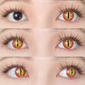 Sweety Crazy Red Demon Eye / Cat Eye (New) (1 lens/pack)-Crazy Contacts-UNIQSO EU