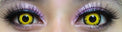 Sweety Crazy Solar Eclipse (1 lens/pack)-Crazy Contacts-UNIQSO EU