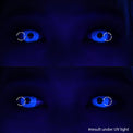 Sweety Crazy UV Glow White (1 lens/pack)-UV Contacts-UNIQSO