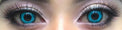 Sweety Crazy Undead Fusion Blue (1 lens/pack)-Crazy Contacts-UNIQSO EU