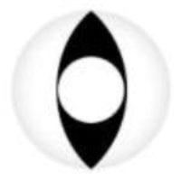 Sweety Crazy White Cat (1 lens/pack)-Crazy Contacts-UNIQSO EU