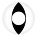Sweety Crazy White Cat (1 lens/pack)-Crazy Contacts-UNIQSO EU
