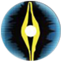 Sweety Crazy Xorn (1 lens/pack)-Crazy Contacts-UNIQSO EU