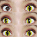 Sweety Crazy Yellow Cat (1 lens/pack)-Crazy Contacts-UNIQSO EU