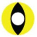 Sweety Crazy Yellow Cat (1 lens/pack)-Crazy Contacts-UNIQSO EU