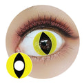 Sweety Crazy Yellow Cat (1 lens/pack)-Crazy Contacts-UNIQSO EU