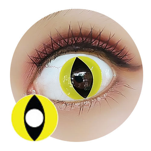Sweety Crazy Yellow Cat (1 lens/pack)-Crazy Contacts-UNIQSO EU