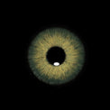 Sweety Magnificent Amazonia Green (1 lens/pack)-Colored Contacts-UNIQSO EU
