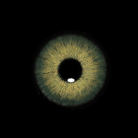Sweety Magnificent Amazonia Green (1 lens/pack)-Colored Contacts-UNIQSO EU
