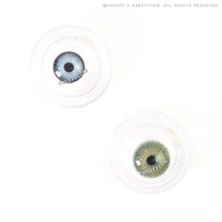 Sweety Magnificent Amazonia Green (1 lens/pack)-Colored Contacts-UNIQSO EU