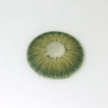 Sweety Magnificent Amazonia Green (1 lens/pack)-Colored Contacts-UNIQSO EU
