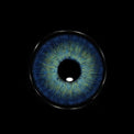 Sweety Magnificent Antarctic Blue (1 lens/pack)-Colored Contacts-UNIQSO EU