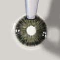 Sweety Magnificent Devils Triangle Black (1 lens/pack)-Colored Contacts-UNIQSO EU