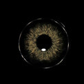 Sweety Magnificent Devils Triangle Black (1 lens/pack)-Colored Contacts-UNIQSO EU