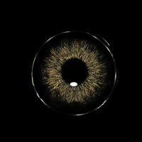 Sweety Magnificent Devils Triangle Black (1 lens/pack)-Colored Contacts-UNIQSO EU