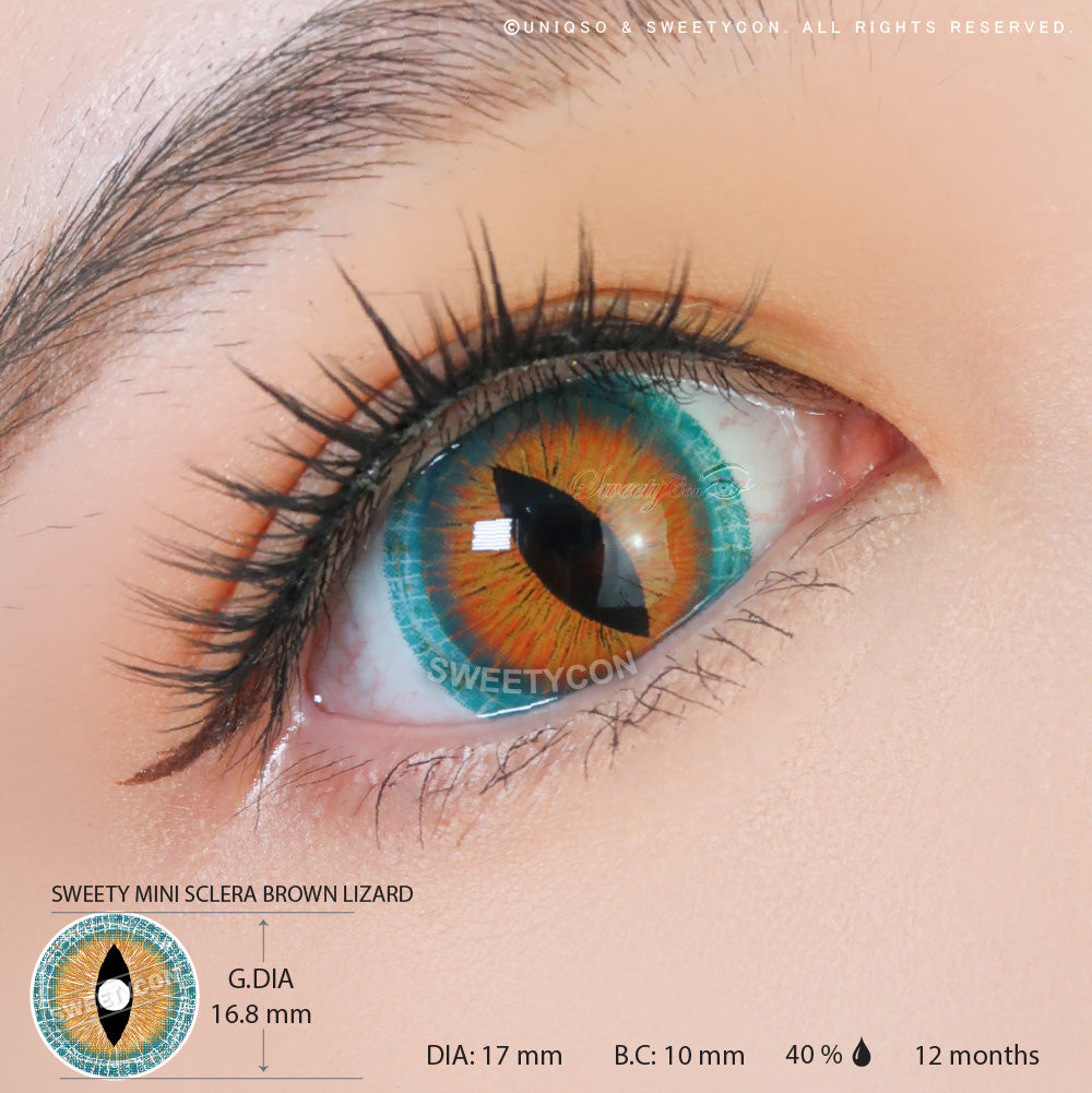 Sweety Mini Sclera Brown Lizard (1 lens/pack)-Mini Sclera Contacts-UNIQSO EU