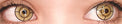 Sweety My Hero Academia Cosplay - Mei Hatsume (1 lens/pack)-Colored Contacts-UNIQSO EU