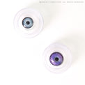 Sweety Mystic Wing Violet (1 lens/pack)-Colored Contacts-UNIQSO EU