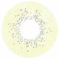Sweety Ocean Brown Green (1 lens/pack)-Colored Contacts-UNIQSO EU