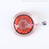 Sweety Queen Wine Red (1 lens/pack)-Colored Contacts-UNIQSO EU